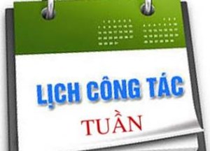 Lịch công tác Khoa Khoa học cơ bản tuần 48 năm 2024