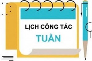 Lịch công tác khoa Khoa học cơ bản tuần 47 năm 2024